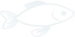 星空体育