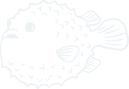 星空体育