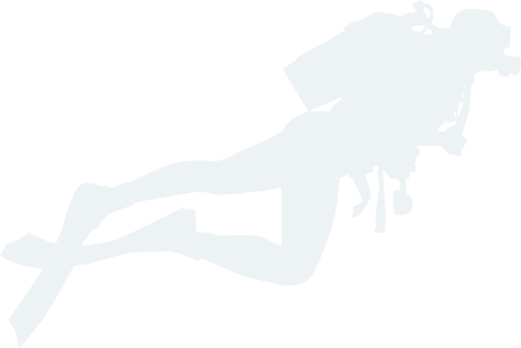 星空体育